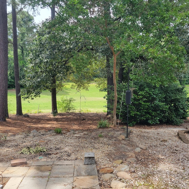 80 Peninsula Pt, Aiken, SC 29803 - photo 54