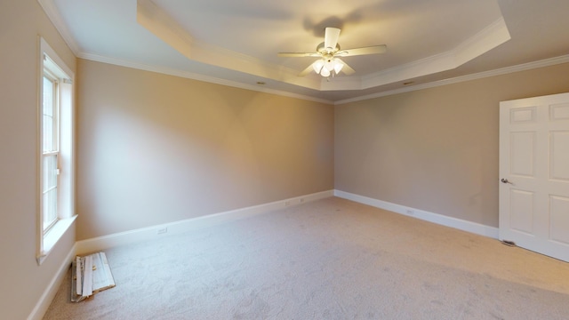 135 Coach Ln, Augusta, GA 30907 - unfurnished room with light colored carpet, ornamental molding, and a tray ceiling