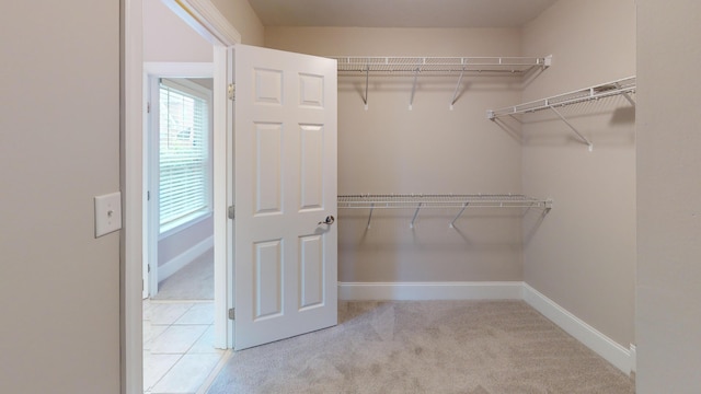 135 Coach Ln, Augusta, GA 30907 - walk in closet with carpet