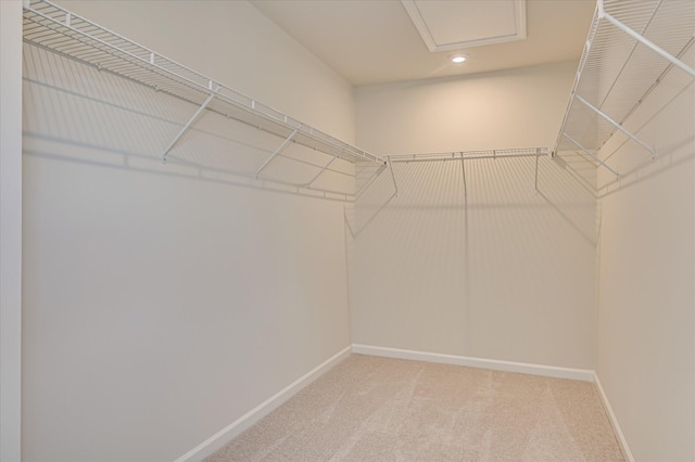 909 Kay Pl, Grovetown, GA 30813 - spacious closet featuring light carpet and attic access