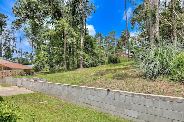 986 Campbellton Dr, North Augusta, SC 29841 - view of yard