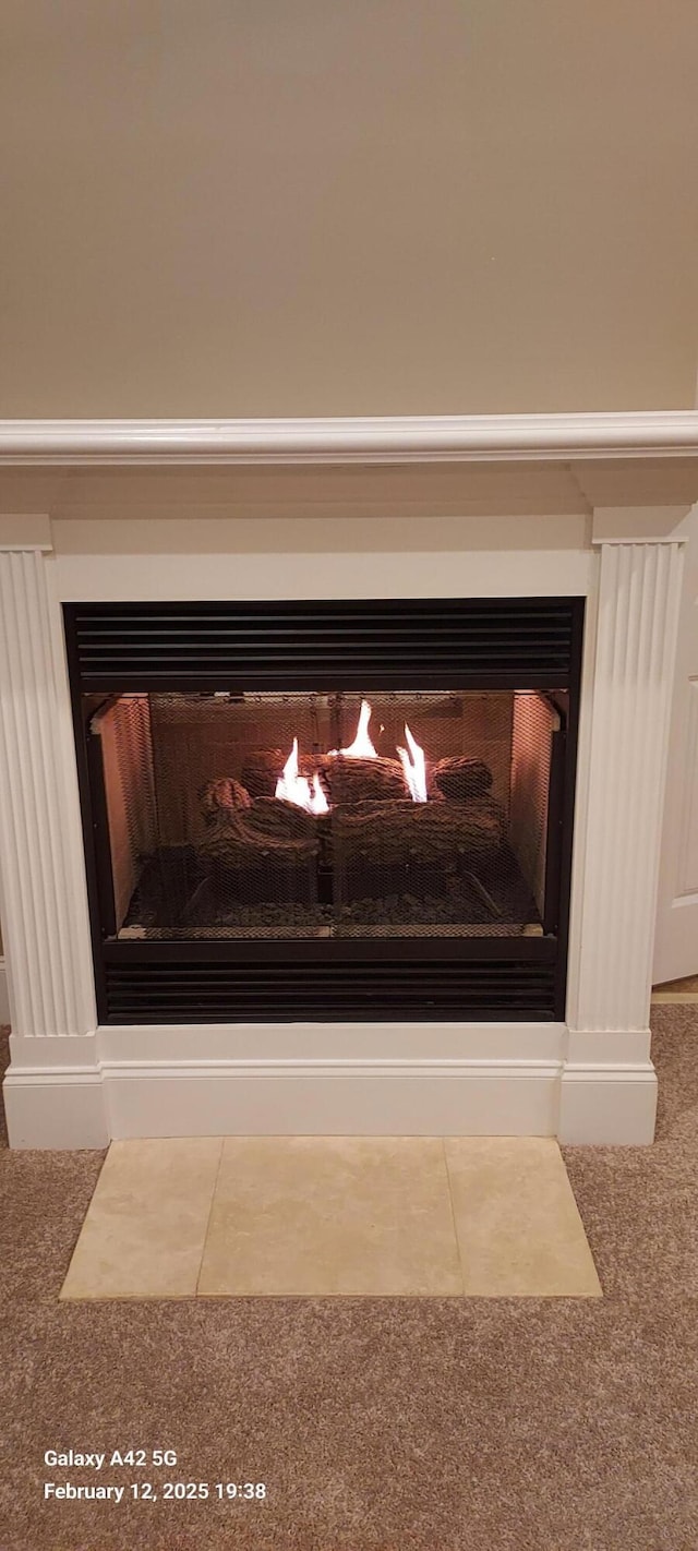 details with carpet floors and a fireplace