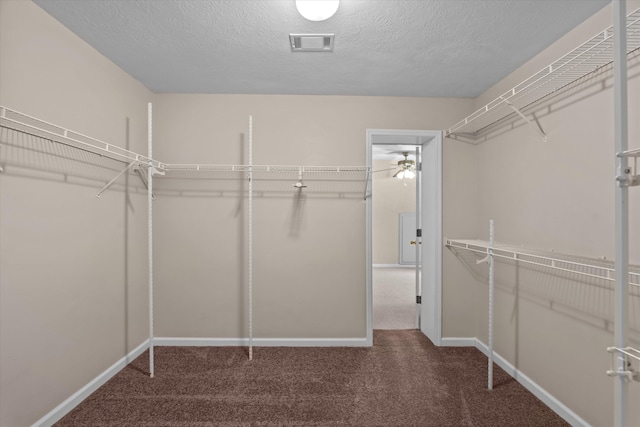 walk in closet with carpet and visible vents