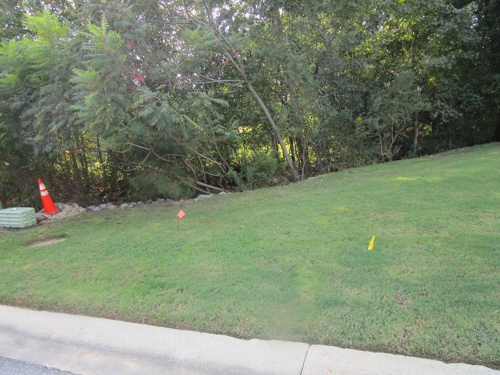 509 Walton Way, Augusta, GA 30901 - photo 1