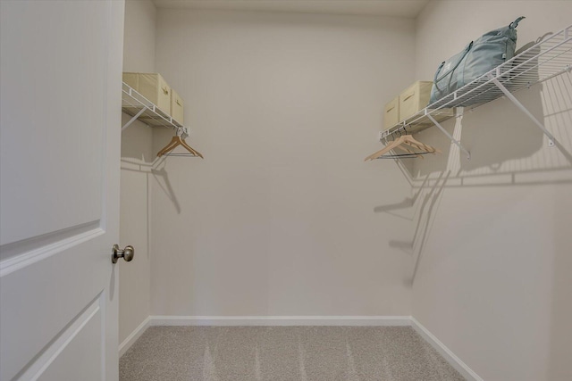 spacious closet featuring light carpet