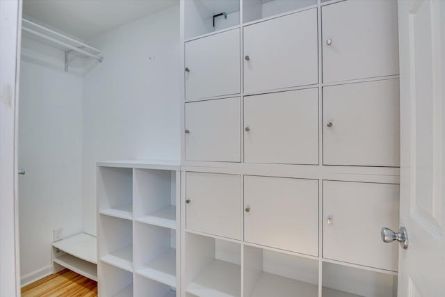 spacious closet featuring light wood-style flooring