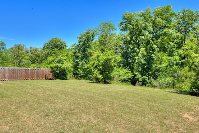 1037 Dietrich Ln, North Augusta, SC 29860 - view of yard