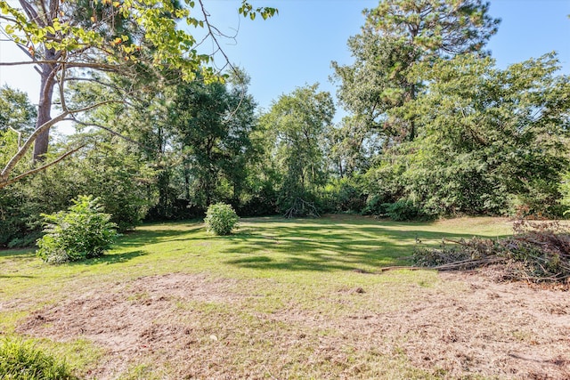 2912 Rocky Creek Rd, Augusta, GA 30906 - photo 57