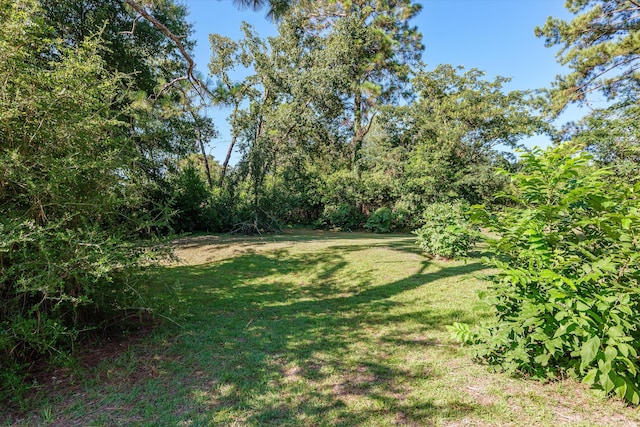 2912 Rocky Creek Rd, Augusta, GA 30906 - photo 61