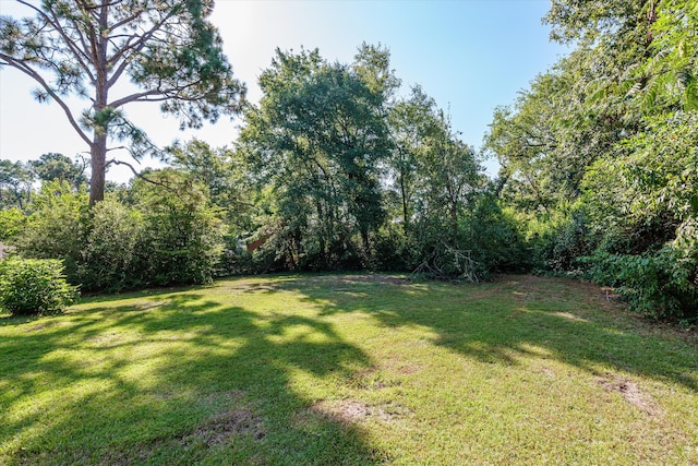 2912 Rocky Creek Rd, Augusta, GA 30906 - photo 58
