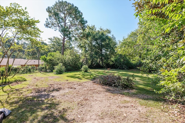 2912 Rocky Creek Rd, Augusta, GA 30906 - photo 55