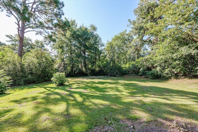 2912 Rocky Creek Rd, Augusta, GA 30906 - photo 62