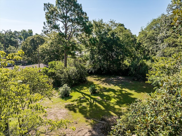 2912 Rocky Creek Rd, Augusta, GA 30906 - photo 72
