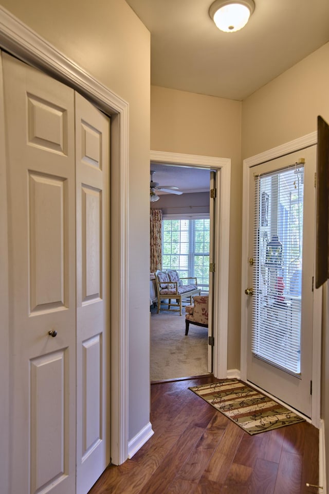 entryway featuring dark wood finished floors and baseboards