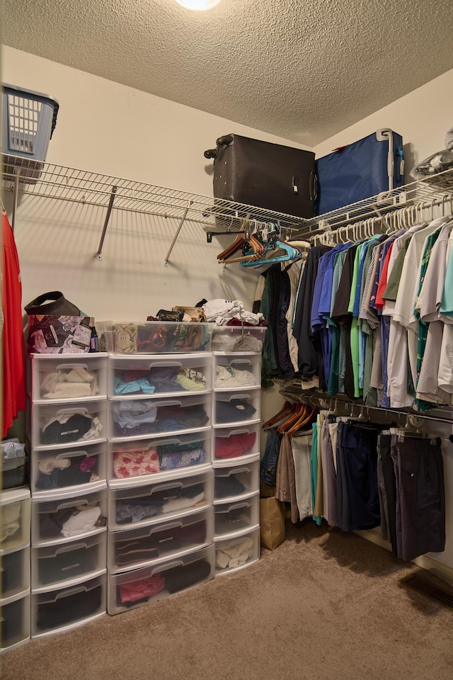 walk in closet featuring carpet flooring