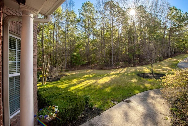 view of yard