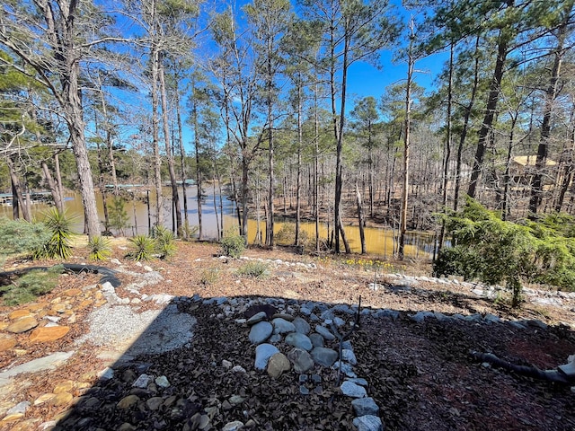 view of yard with a wooded view