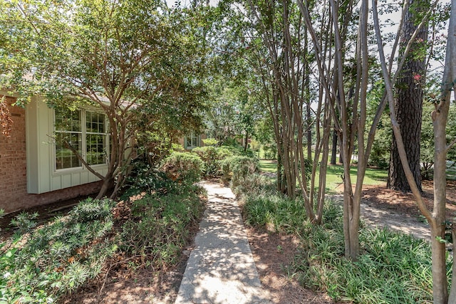 8135 Sir Lancelot Ct, Evans, GA 30809 - photo 2
