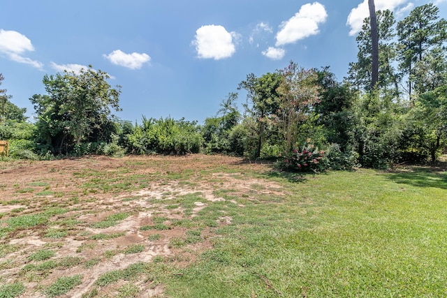 8135 Sir Lancelot Ct, Evans, GA 30809 - photo 49