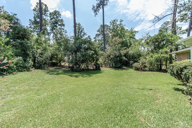 8135 Sir Lancelot Ct, Evans, GA 30809 - photo 47