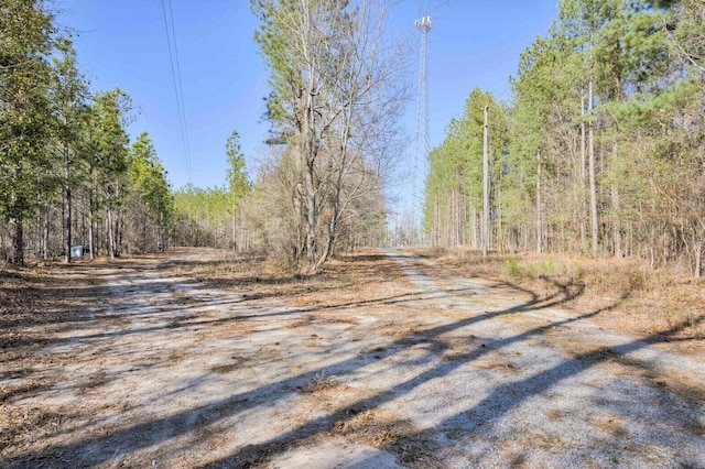 7419 Fullbright Rd, Appling, GA 30802 - view of dirt / gravel road featuring a view of trees