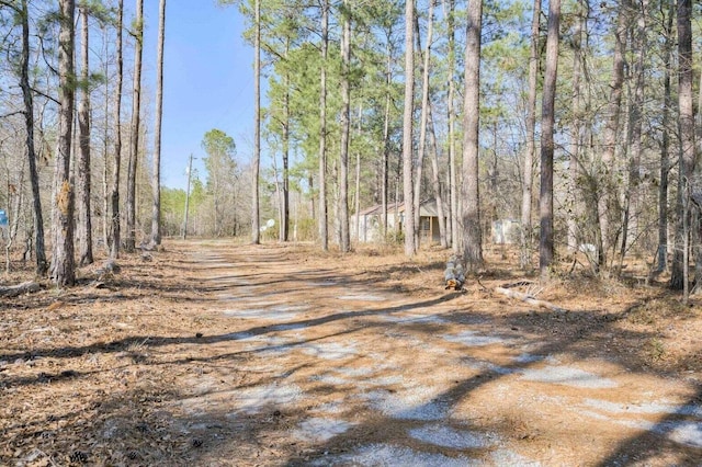 7419 Fullbright Rd, Appling, GA 30802 - view of road