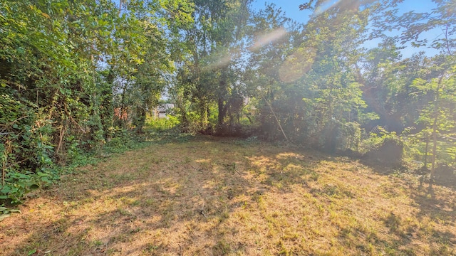 257 Watkins St, Augusta, GA 30901 - photo 20