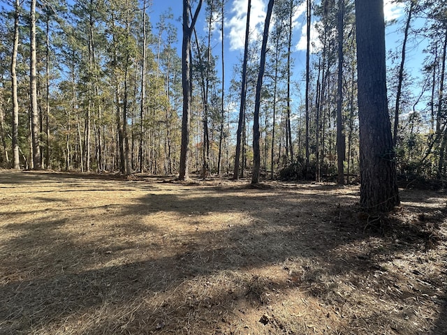 view of local wilderness