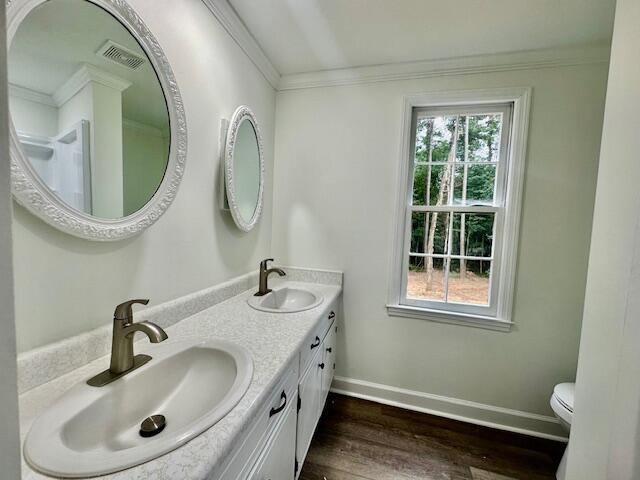 bathroom featuring ornamental molding, vanity, wood-type flooring, and toilet