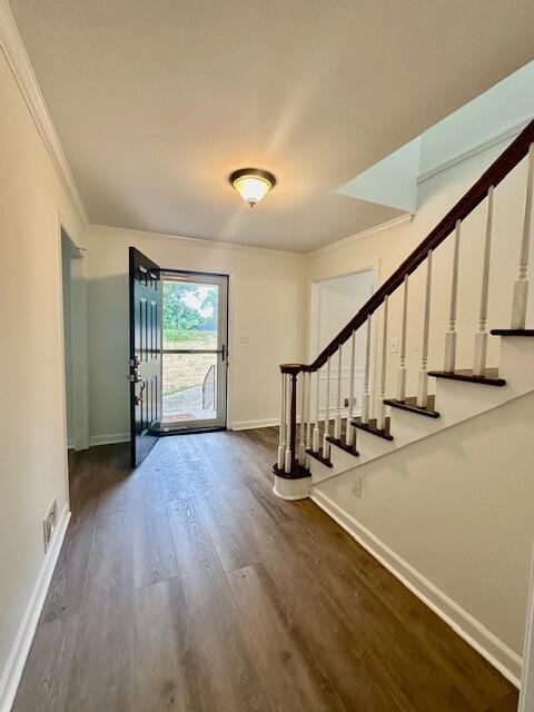 entryway featuring dark hardwood / wood-style floors and ornamental molding