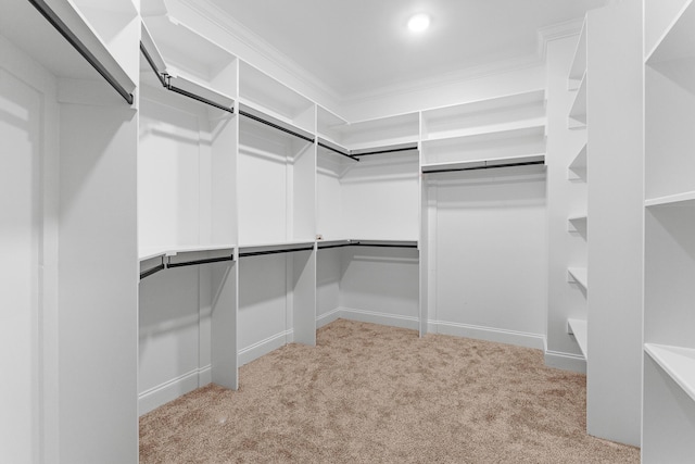 3067 Rosewood Dr, Evans, GA 30809 - walk in closet with carpet flooring