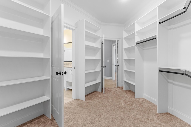3067 Rosewood Dr, Evans, GA 30809 - walk in closet with light colored carpet