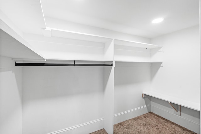 3067 Rosewood Dr, Evans, GA 30809 - walk in closet featuring carpet