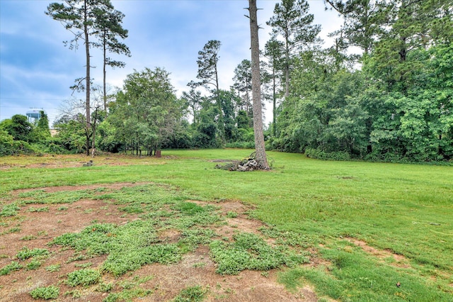 103 Adams Ln, Grovetown, GA 30813 - view of grassy yard