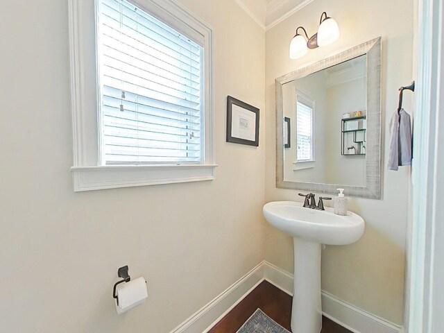 1038 Dietrich Ln, North Augusta, SC 29860 - bathroom with baseboards, crown molding, and a sink