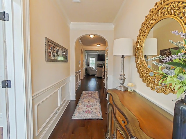 1038 Dietrich Ln, North Augusta, SC 29860 - hallway with ornamental molding, dark wood finished floors, a wainscoted wall, arched walkways, and a decorative wall