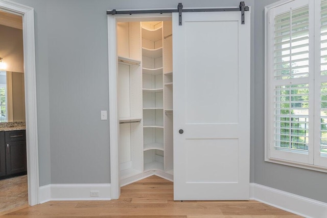 view of closet