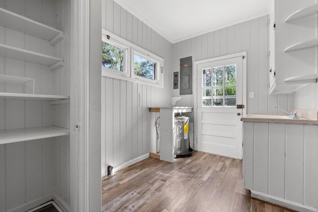 clothes washing area featuring sink, crown molding, light hardwood / wood-style flooring, and electric panel