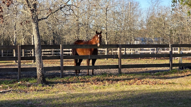 view of yard featuring a rural view and fence