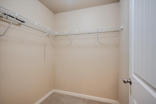 2083 Willhaven Dr, Augusta, GA 30909 - spacious closet featuring carpet