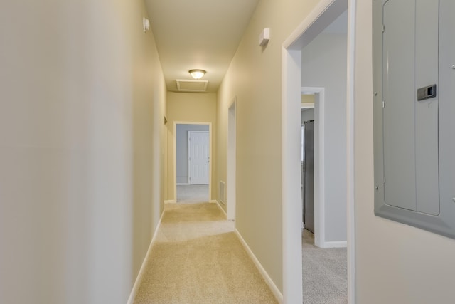 807 Crawford Ave, Augusta, GA 30904 - corridor with light carpet, electric panel, and baseboards