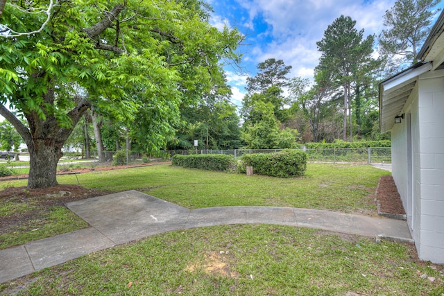 807 Crawford Ave, Augusta, GA 30904 - view of yard