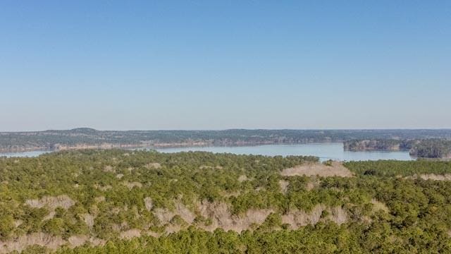 1139 Hester S Ferry Rd, Tignall, GA 30668 - photo 16