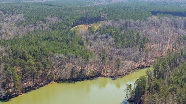 1139 Hester S Ferry Rd, Tignall, GA 30668 - photo 24
