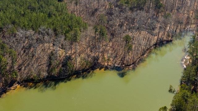 1139 Hester S Ferry Rd, Tignall, GA 30668 - photo 20