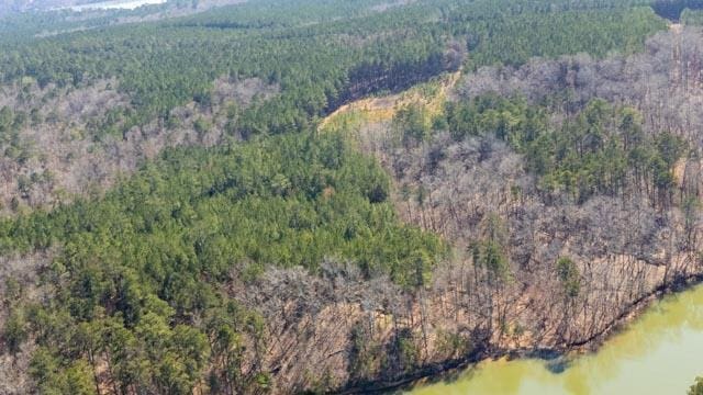 1139 Hester S Ferry Rd, Tignall, GA 30668 - photo 9