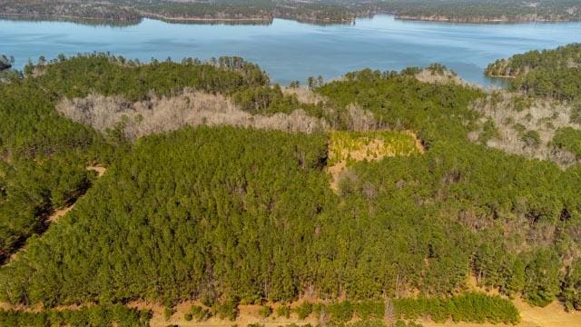 1139 Hester S Ferry Rd, Tignall, GA 30668 - photo 28