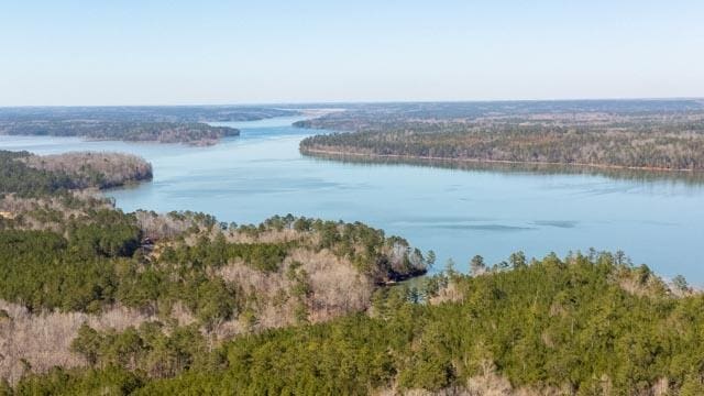 1139 Hester S Ferry Rd, Tignall, GA 30668 - photo 1