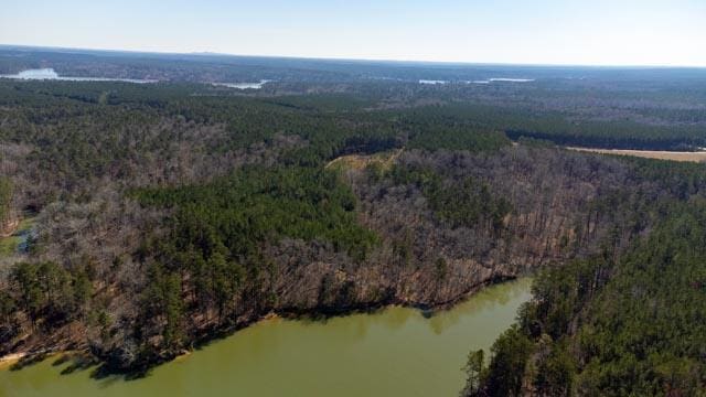 1139 Hester S Ferry Rd, Tignall, GA 30668 - photo 10
