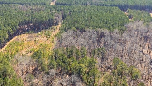 1139 Hester S Ferry Rd, Tignall, GA 30668 - photo 21